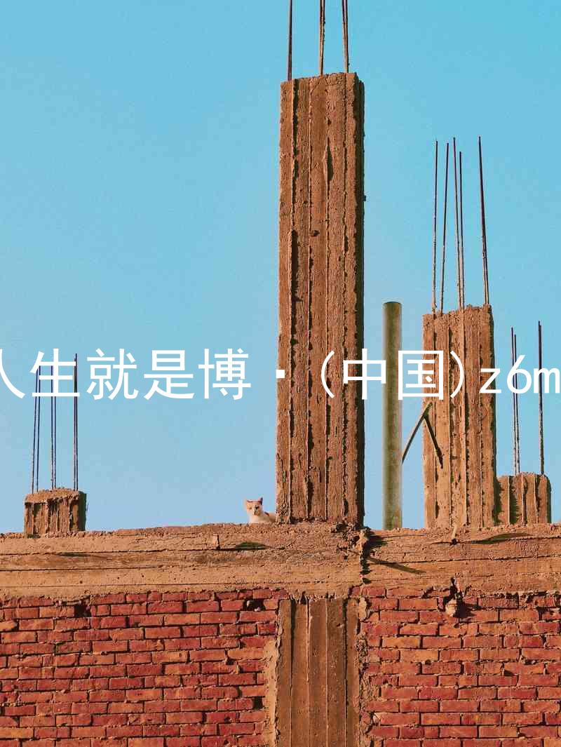 人生就是博·(中国)z6mg